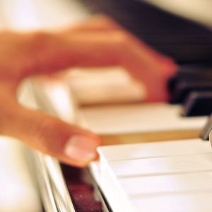 国产精品片在线观看无码
