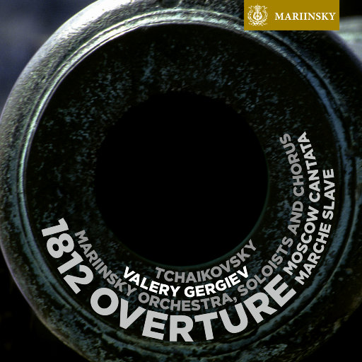 国产精品片在线观看无码
