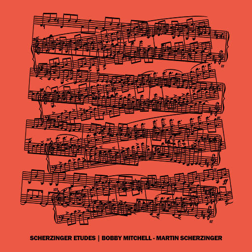 国产精品片在线观看无码
